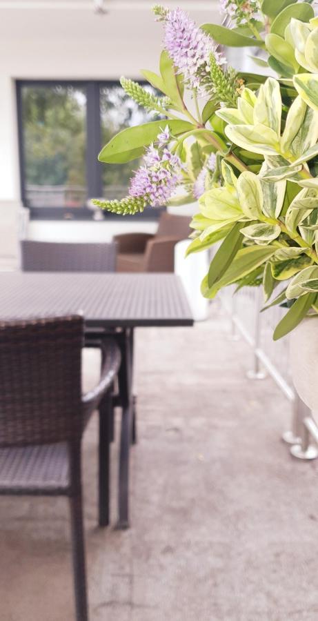 Apartment Moderne Zweizimmerwohnung Essen